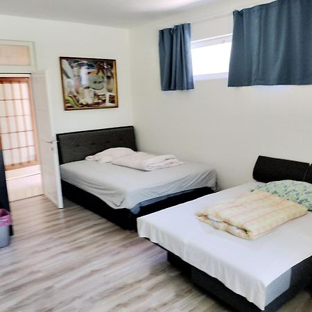 Balassa House شيوفوك المظهر الخارجي الصورة