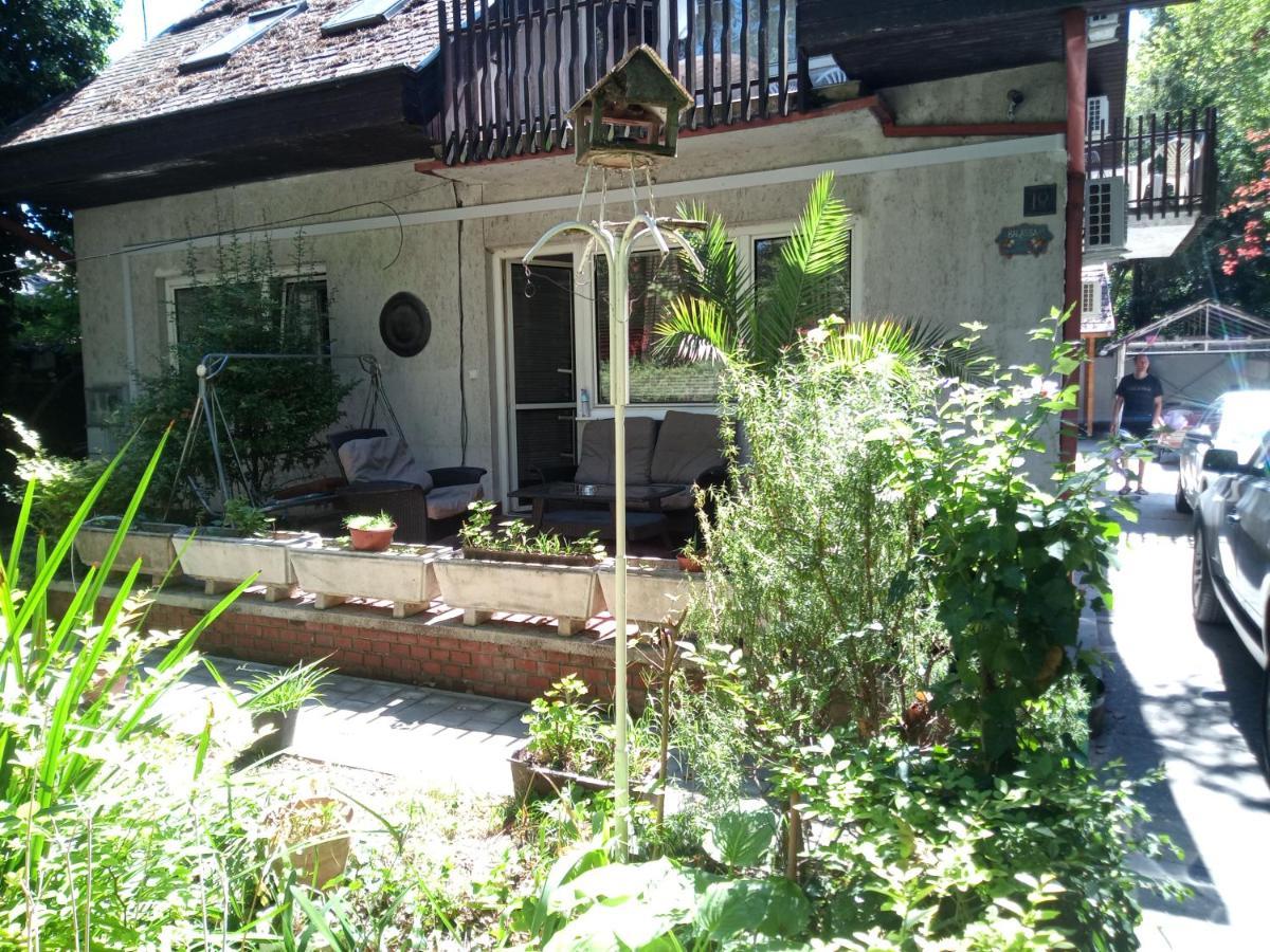 Balassa House شيوفوك المظهر الخارجي الصورة