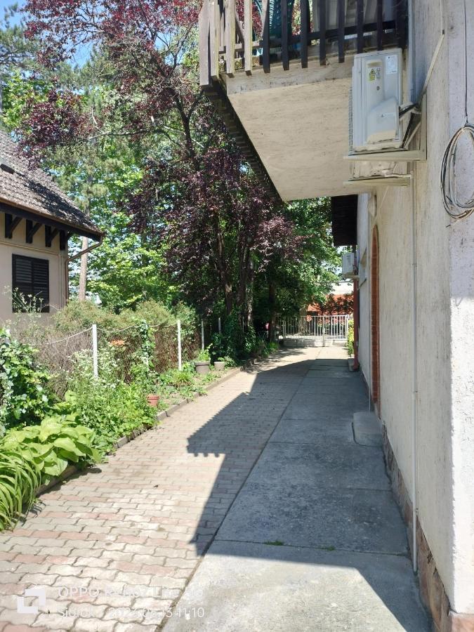 Balassa House شيوفوك المظهر الخارجي الصورة