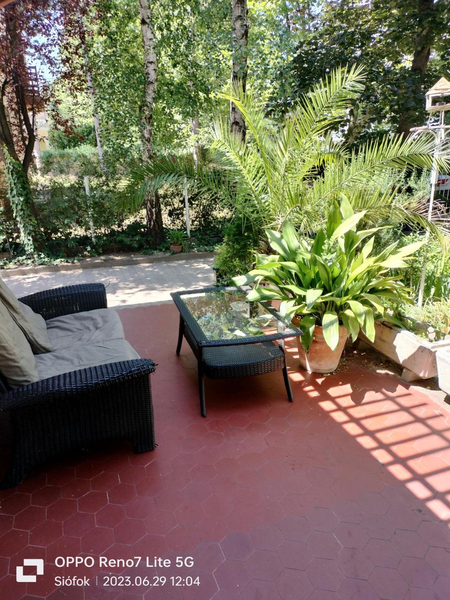 Balassa House شيوفوك المظهر الخارجي الصورة
